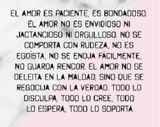 amor amor