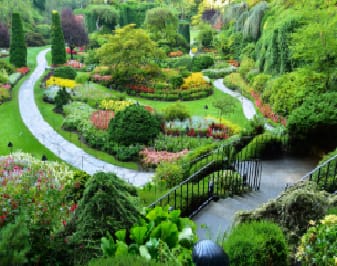 jardin jardin