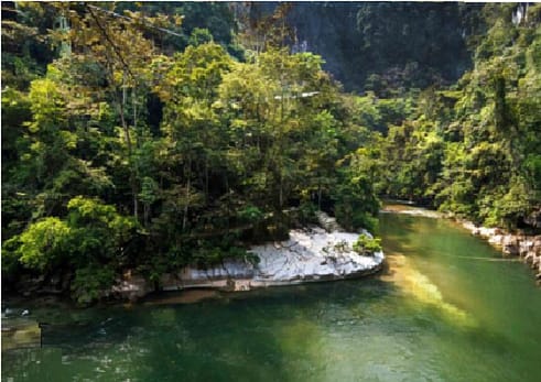 biodiverso biodiverso