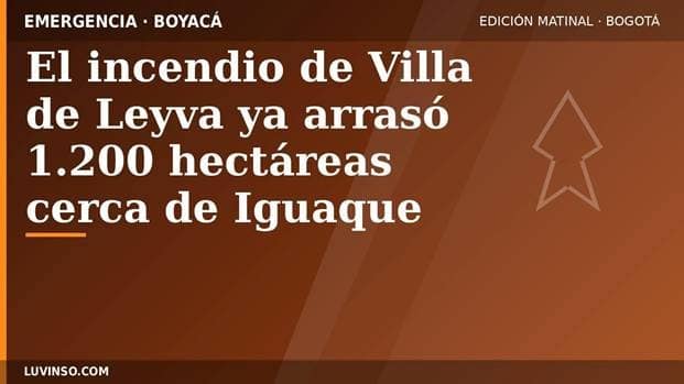 Opinión image