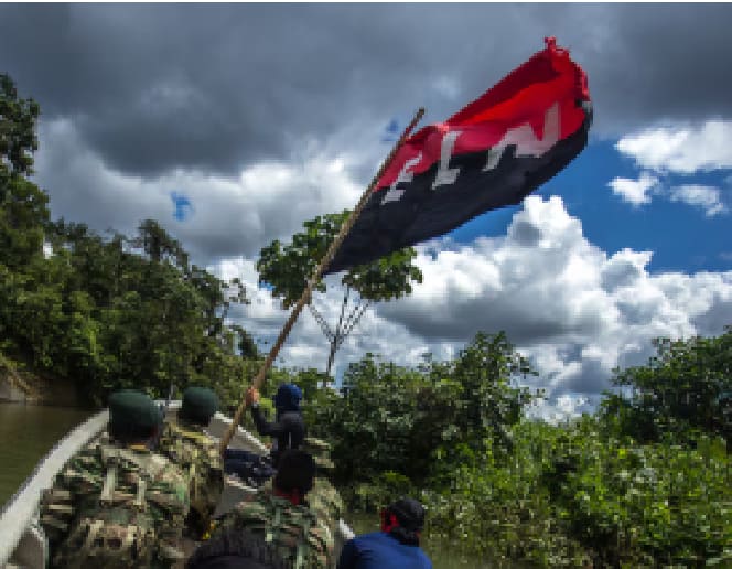 Opinión paro armado